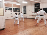100_Kobudo_Kata_Marathon_-_Passai_Sho_No_Bo_3_April_2016.jpg