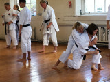 SKKKA_Open_Course_at_the_Mirai_Dojo_-_Enpi_kata_applications_2_Oct_2018_IMG_1448_adj.jpg