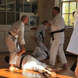 SKKKA_Open_Course_at_the_Mirai_Dojo_-_Enpi_kata_applications_3_Oct_2018_IMG_1449_adj.jpg