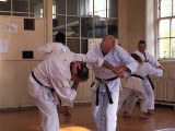 SKKKA_Open_Course_at_the_Mirai_Dojo_-_Enpi_kata_applications_4_Oct_2018_IMG_1451_adj.jpg
