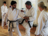 SKKKA_Open_Course_at_the_Mirai_Dojo_-_Enpi_kata_applications_6_Oct_2018_IMG_1460_adj.jpg